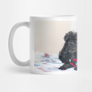 Queen of the toy poodles Mug